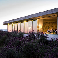 Mesa De Lemos Viseu Restaurant